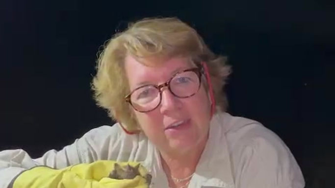 angela y murcielago cali.mp4